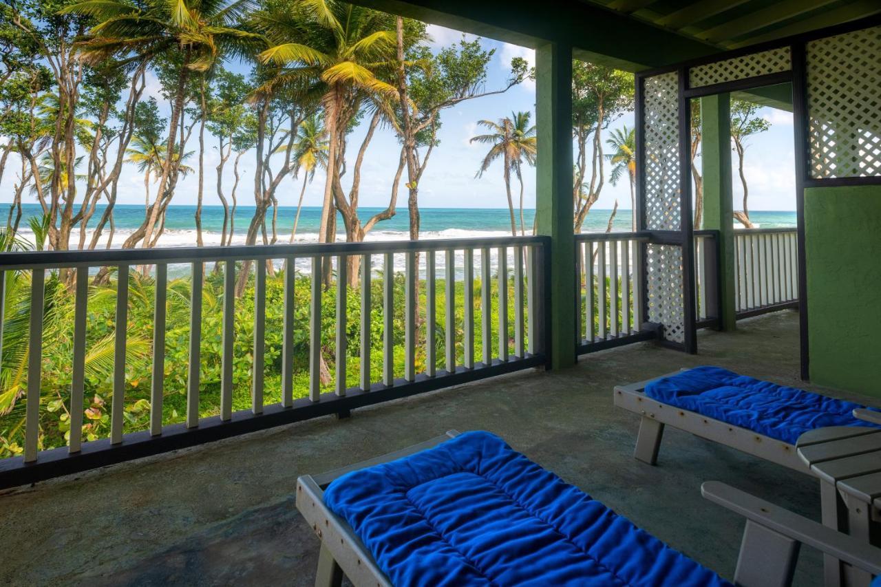 Rosalie Bay Eco Resort & Spa Exterior foto