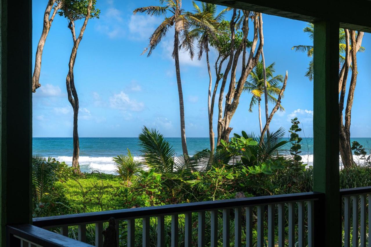 Rosalie Bay Eco Resort & Spa Exterior foto